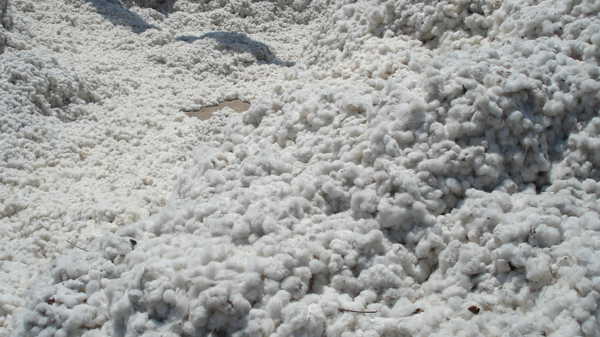 WHY ORGANIC COTTON?